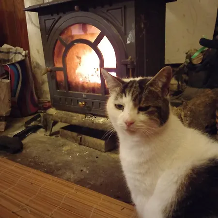 Cregg Castle Séjour à la campagne *
