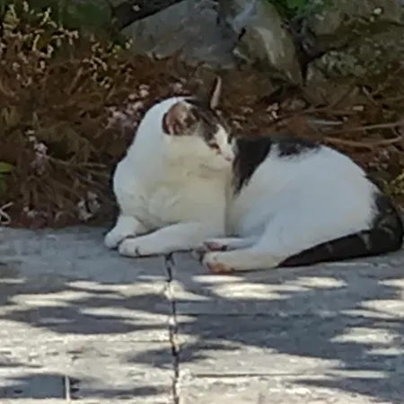 Cregg Castle * Galway