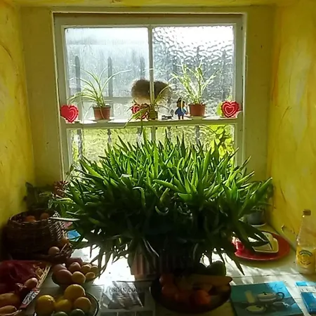 Séjour à la campagne Cregg Castle