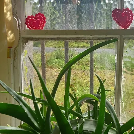 Cregg Castle * Galway