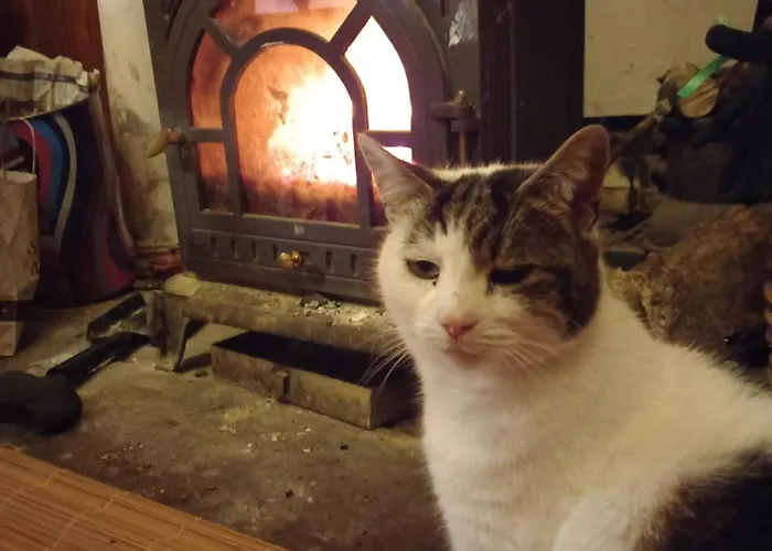 Cregg Castle Lantställe *