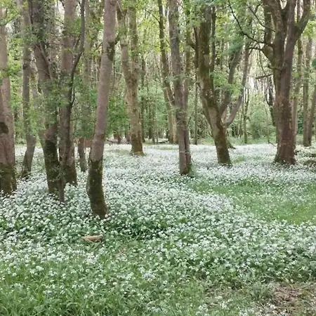 Cregg Castle Landhaus *