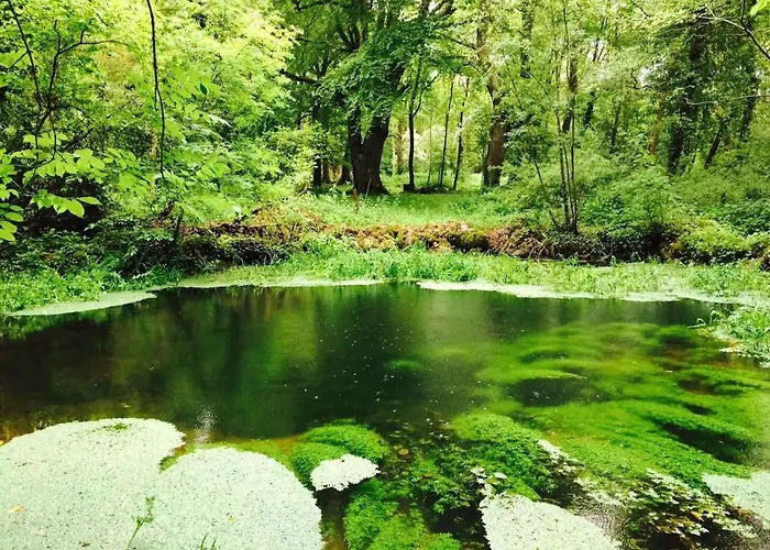 Cregg Castle Casa de Campo *