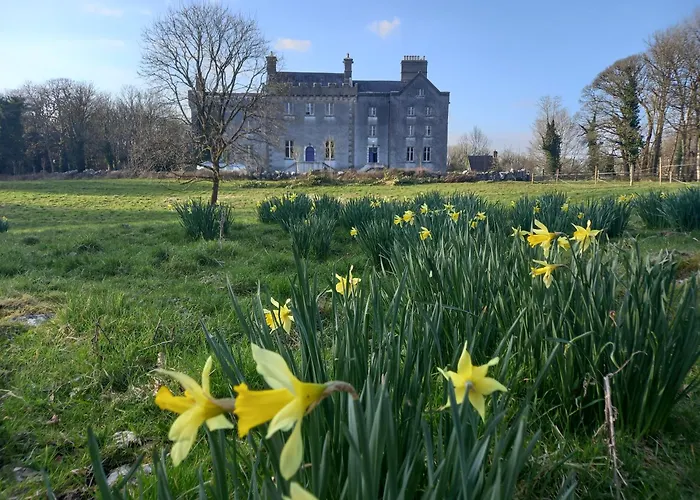 Cregg Castle * Galway