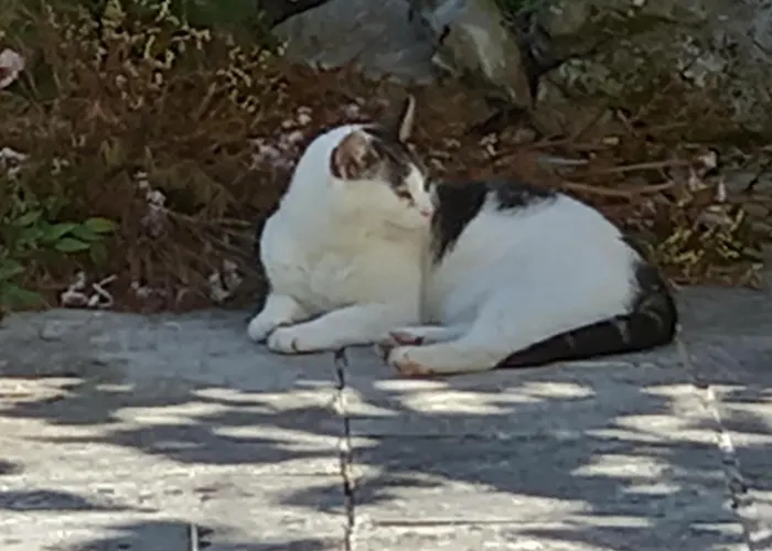 Cregg Castle * Galway