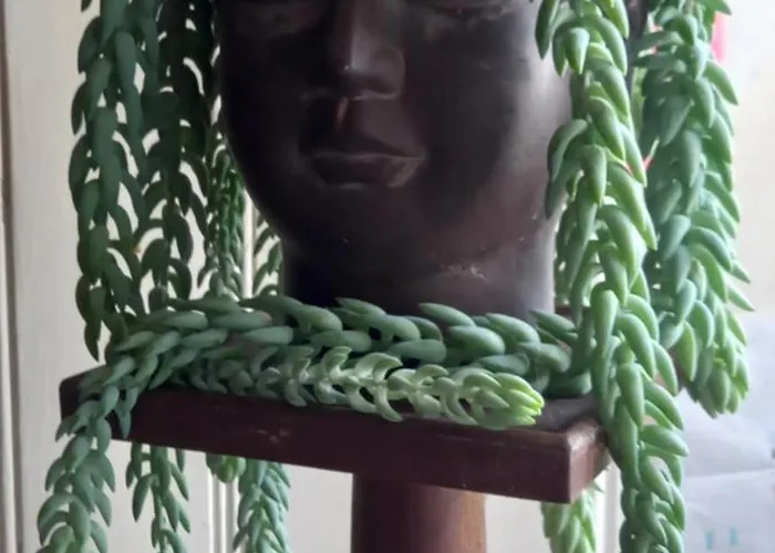 Casa de Campo Cregg Castle *