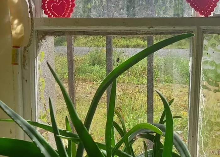 Cregg Castle * Galway